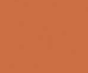 Basicfloor & Wall Klinkkeri RAL 0506080