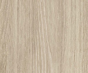 English Wood Galloway