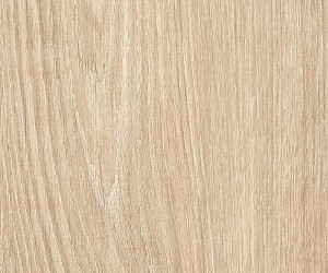 English Wood Snowdonia