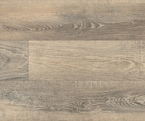 AR0W8850 Berwick Oak