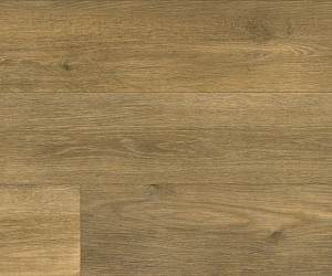 AR0W8800 Yarncliff Oak