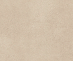 AR0AUC15 Stucco Quartz