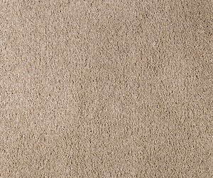 Belflor SDN Luxe 65730