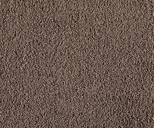 Matera Creamy Mushroom 65430