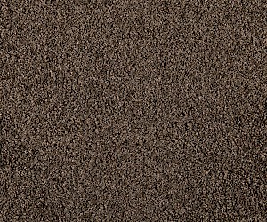 Matera Primo Olive Grove 65531