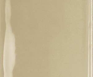 Century Olive Brillo