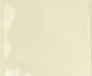 Century Beige Brillo