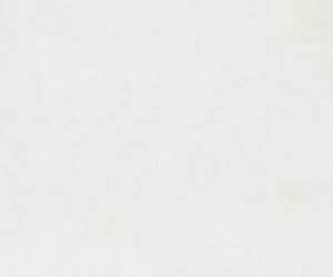 Extra Light Grey 30x60cm