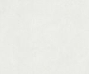 Extra Light Grey 20x40cm