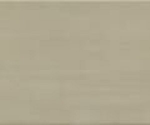 Neutral Taupe