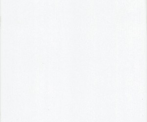 Pro Double Wall White