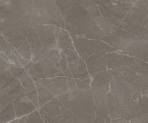 Tortora Smart lucido 60x120cm