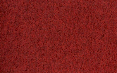 Neulahuopamatot - Xeno