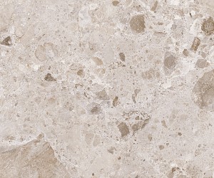 Petra Taupe