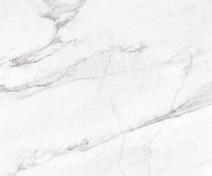 Carrara White Shine floor